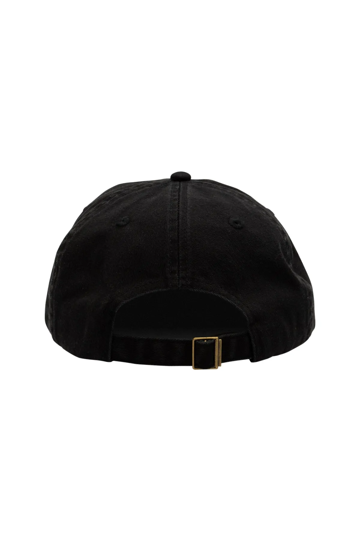 Dr. STONE Chrome Petrified Dad Hat - Black