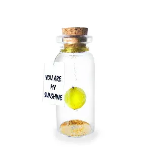 Tiny Magical Message in a Bottle Gift Idea Classy Inspirational Gifts for Him